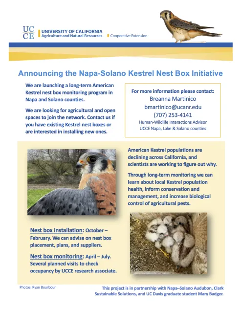 Kestrel nest box outreach1