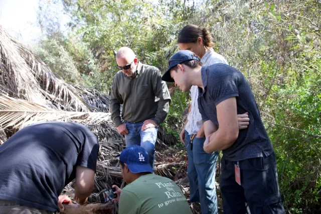 Five people look down at the dry, brown, fallen palm tree.