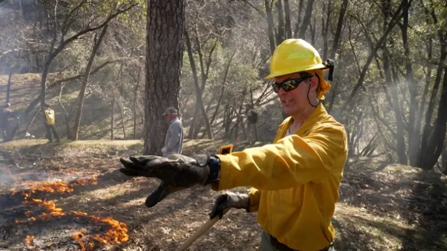 Man gestures as he stands amid the flames of a prescribed burn