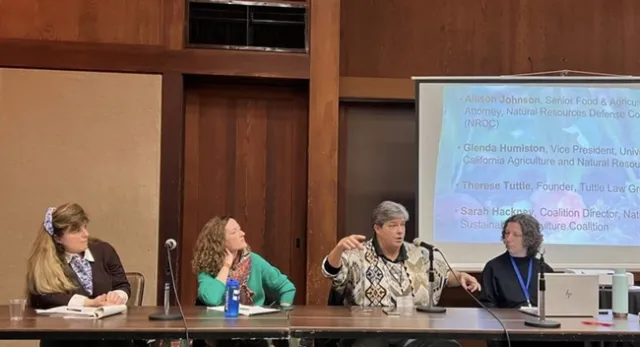 Four women sit at a long table