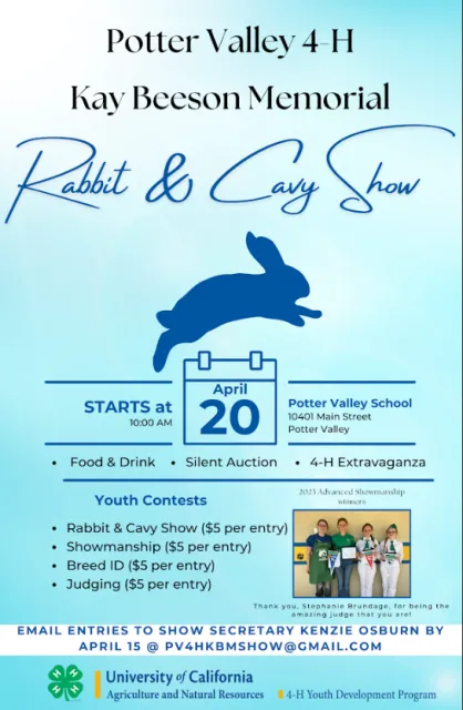Rabbit and Cavy Show 2024