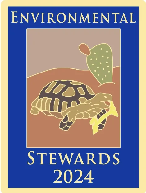 Final Pin Art Just the Pin