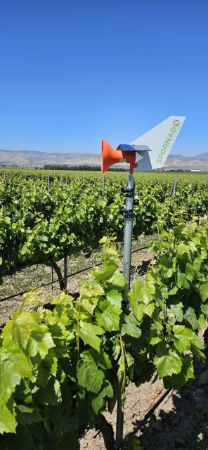 Passive spore trap that detects crop disease pathogens