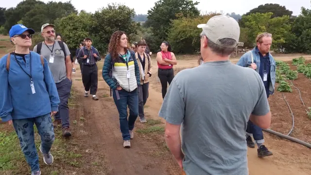 A dozen people walk along a dirt path between crop fields with trees in background
