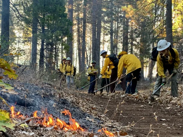 FTREX participants practice "cutting line" through a section of forest during a handline drill