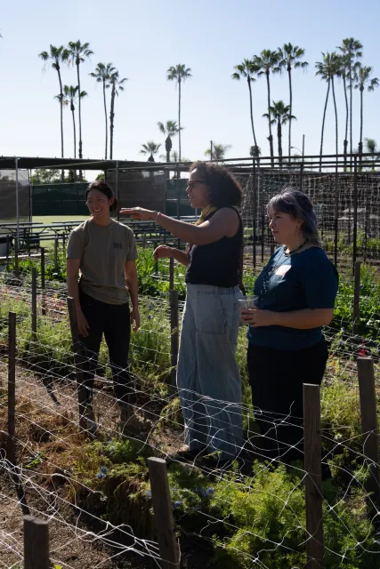 People stand between rows of crops at an urban farm
