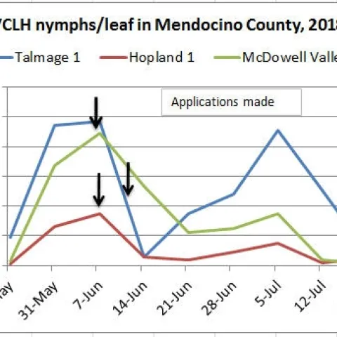 July 19 VCLH nymphs per leaf