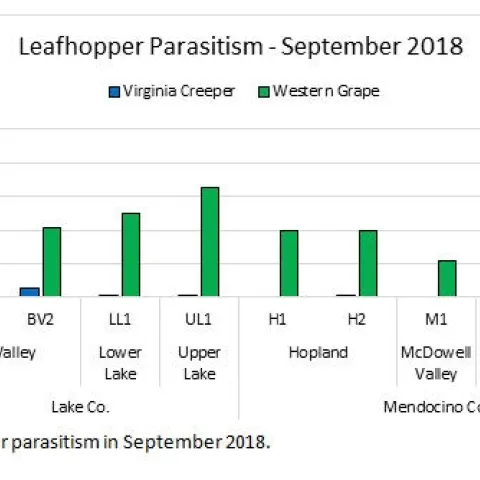 Leafhopper Parasitism September 2018