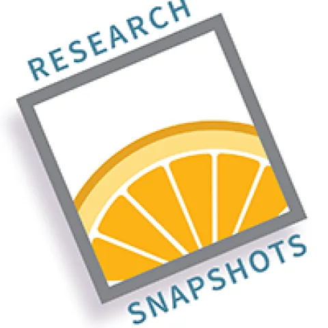 Research Snapshot logo