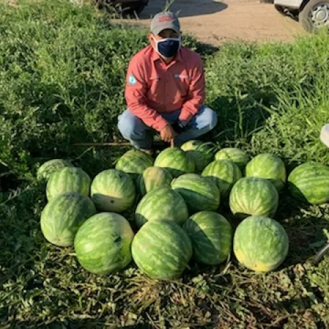 SAVE 20200801 103818