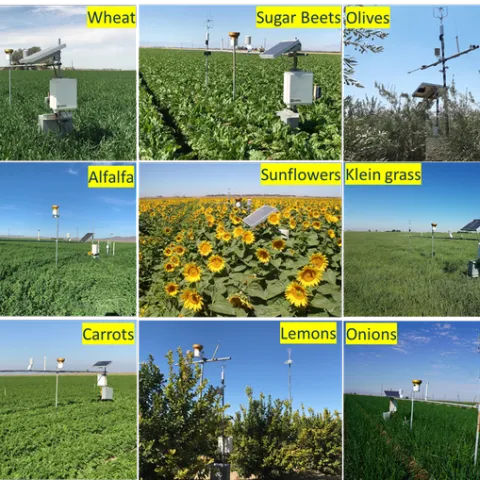 Automated surface renewal and eddy covariance equipment to measure actual crop water use in several commercial fields in the low desert of California.