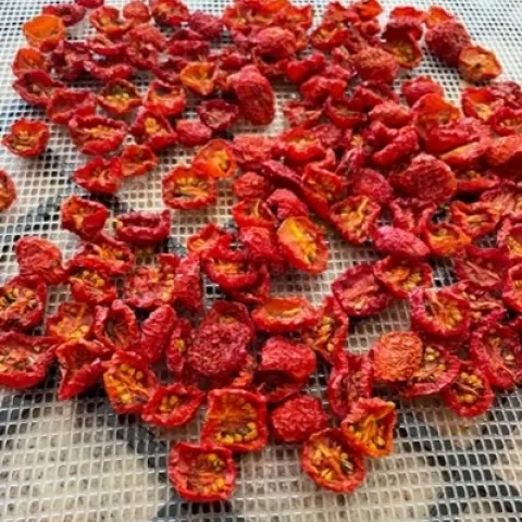 A tray of small red dehydrated tomatoes