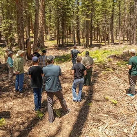 A tour of the French Meadows Forest Restoration Project at the Tahoe National Forest is carried out on June 21, 2022. Photo by Brie Anne Coleman, Placer County Water Agency