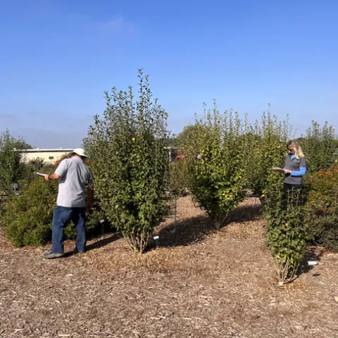 Two people hold clipboards and assess plants.