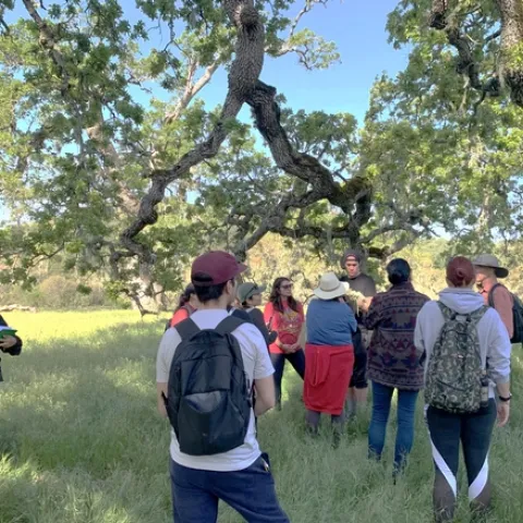 Nine people gather around a person speaking beneath a blue oak tree under a blue sky.