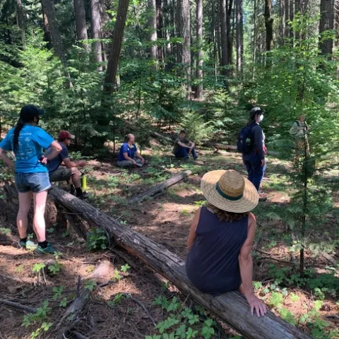 Forest Stewardship workshop participants at an El Dorado County field day. Credit: K.Ingram.