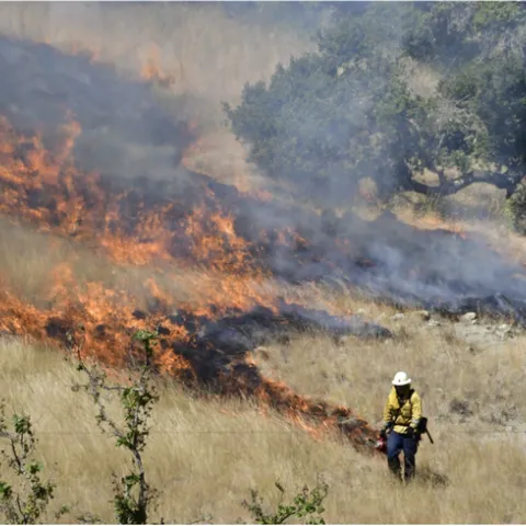 CALFIRE has "two arms: operations and resource management", which includes implementing prescribed fire. Credit: CALFIRE SLU. For California's fire-adapted landscapes, reintroducing 'good fire' via cultural or prescribed burns yields many ecosystem benefits. Credit: CALFIRE SLU.