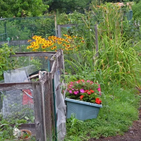 4795749925 9a1784e737 c