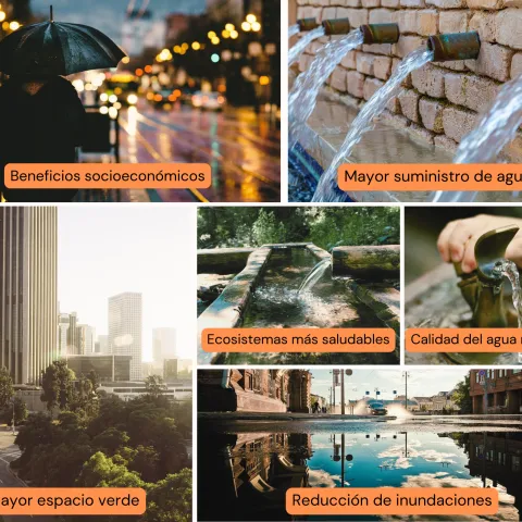 Los beneficios de la gestión de aguas pluviales en el Sur de California