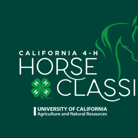 Horse Classic logo banner v2