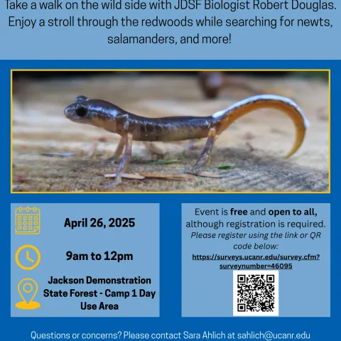 Image of flyer with information about guided walk