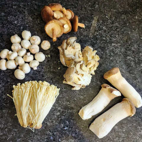 Assortment of raw harvested mushrooms