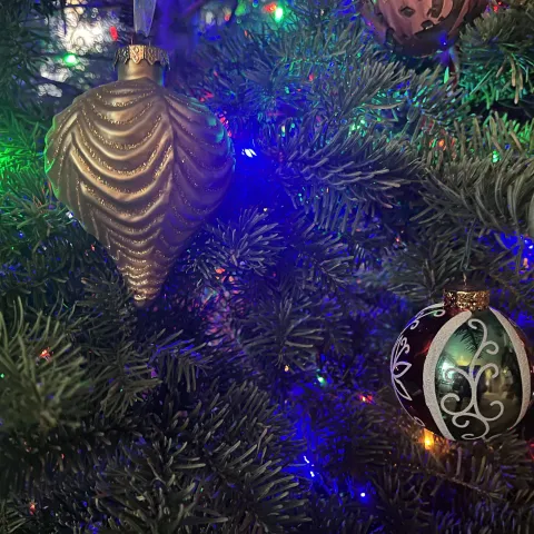 A close-up of shiny gold and green holiday ornaments and multicolored lights hanging on a fir tree with bushy, dark-green leaves (needles).