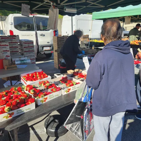 Serramonte Farmers' Market