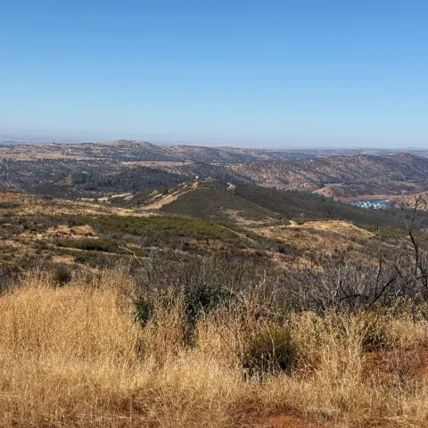 dry brush in front opens to landscape of hills covered by trees and rangelands. A lake is in the valley in the distance