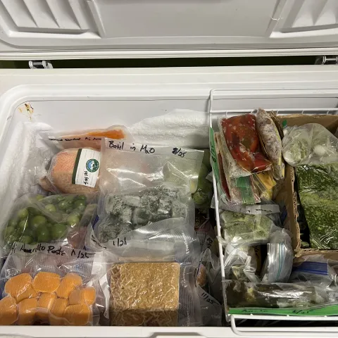 Chest freezer full of frozen bagged veggies