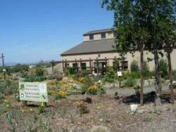 Earth Friendly Demo Garden in Livermore