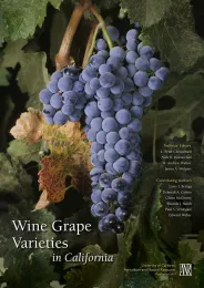 Wine Grape Varieties in California