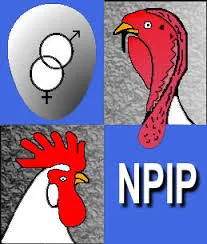 NPIP