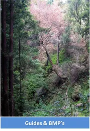 Link to Guides and BMP's