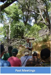 Link to Past Meetings