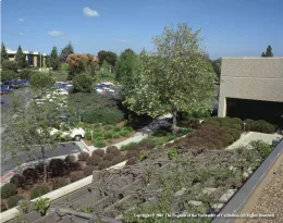 Commercial Landscape IPM