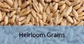 HeirloomGrains_Final