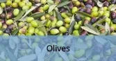 Olives_Final