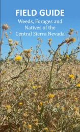 Booklet cover depicting weeds with yellow flowers. Title "Field Guide: Weeds, Forade, and Natives of the Central Sierra Nevada."