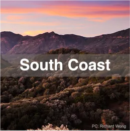 South Coast