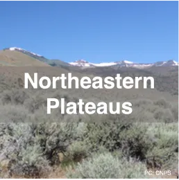 Northeastern Plateaus