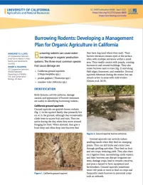 Screen Shot 2023-02-13 at 7.40.52 PM