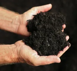 Expert tips for adding compost to your Sonoma County spring garden