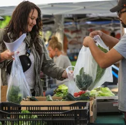 Farmers Markets and Master Gardener Info Desks