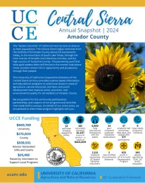 Annual-Report-Amador shows sunflower and data in circles