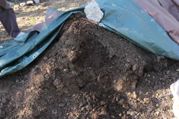 Test soil for contaminants at a qualified lab.