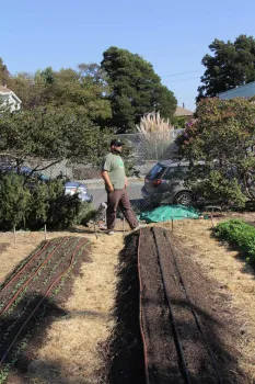 Crops are planted in soil berms enriched with amendments at WOW Farm.