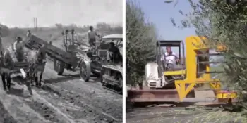 © University of California