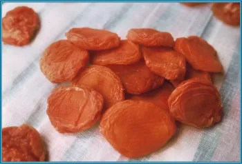 dried apricots