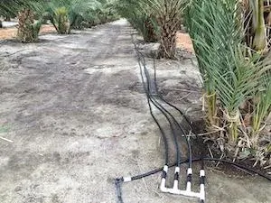 field site - irrigation manifold